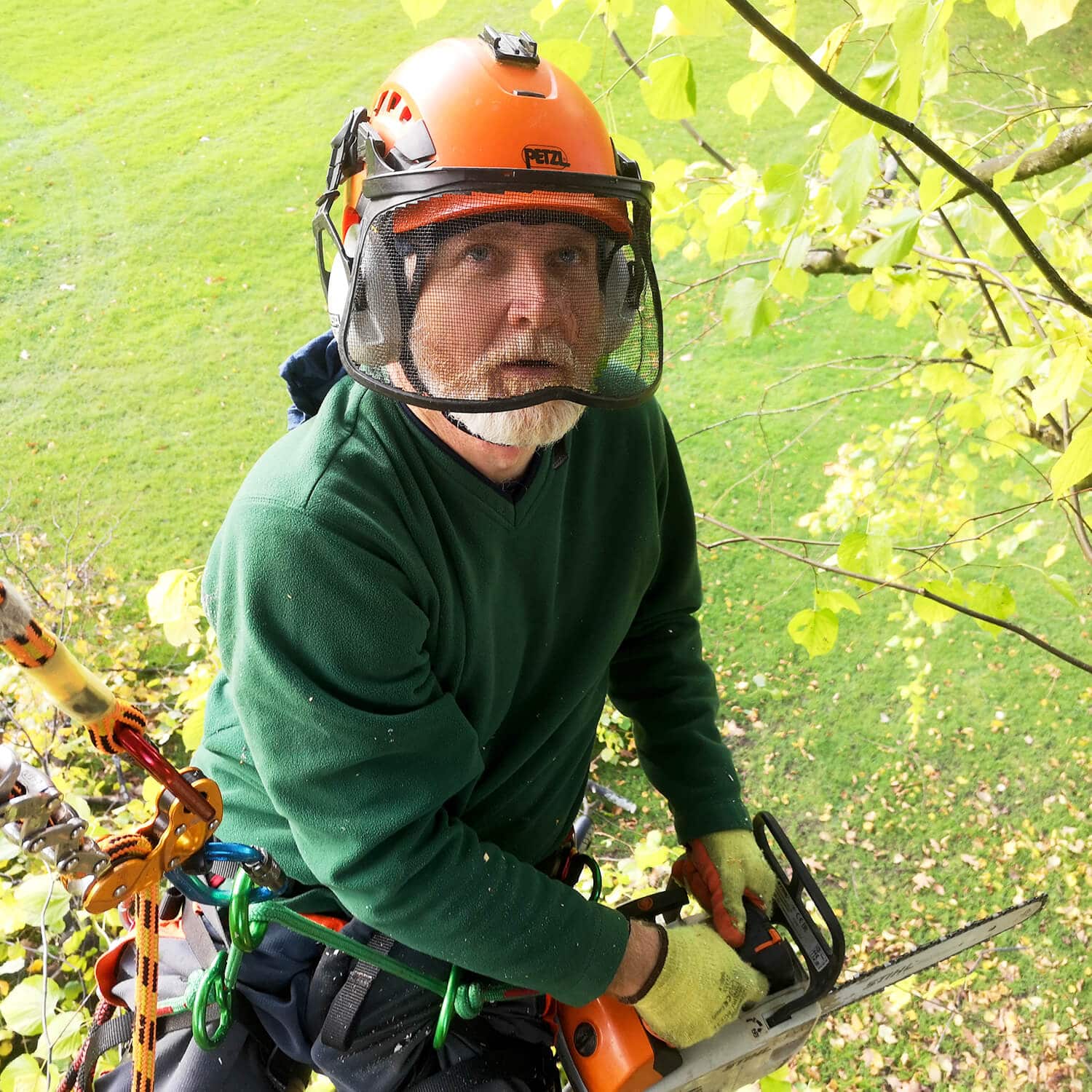 tree-surgeon-climbing